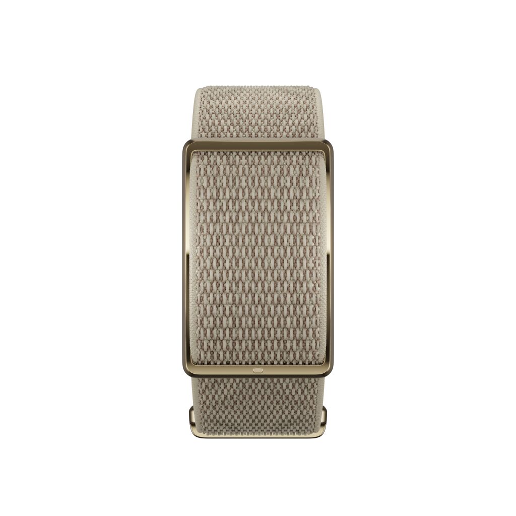 POLAR LOOP GEN2 GLD/SAND S-L